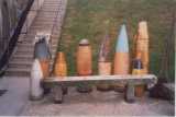 shells pic
